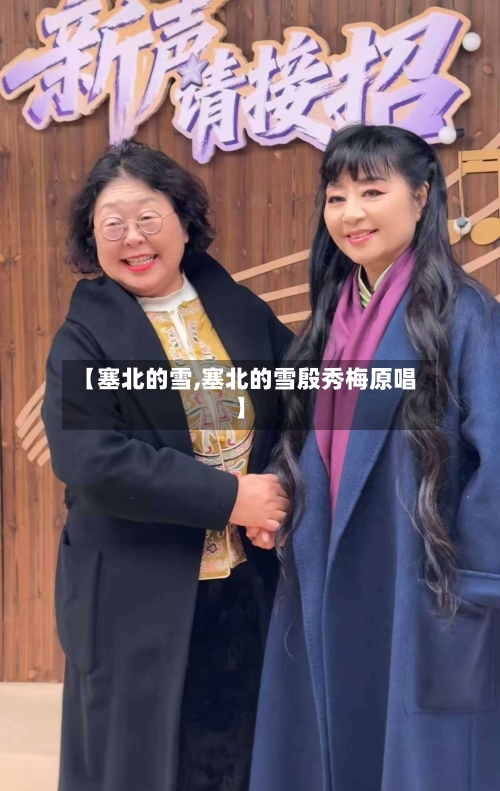 【塞北的雪,塞北的雪殷秀梅原唱】-第2张图片