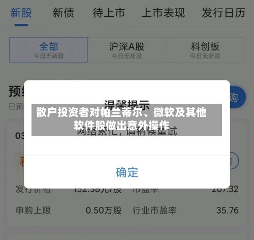 散户投资者对帕兰蒂尔、微软及其他软件股做出意外操作-第2张图片