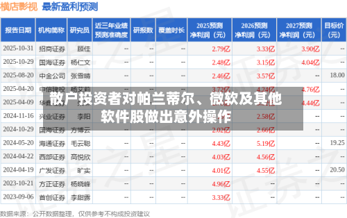 散户投资者对帕兰蒂尔	、微软及其他软件股做出意外操作-第3张图片
