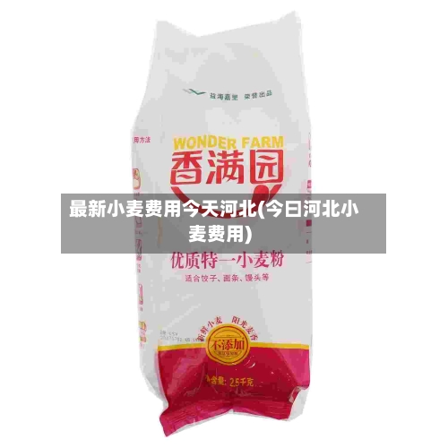 最新小麦费用今天河北(今曰河北小麦费用)-第1张图片