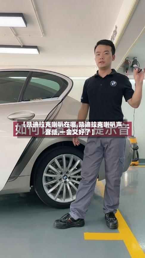 【凯迪拉克喇叭在哪,凯迪拉克喇叭声音低,一会又好了】-第1张图片