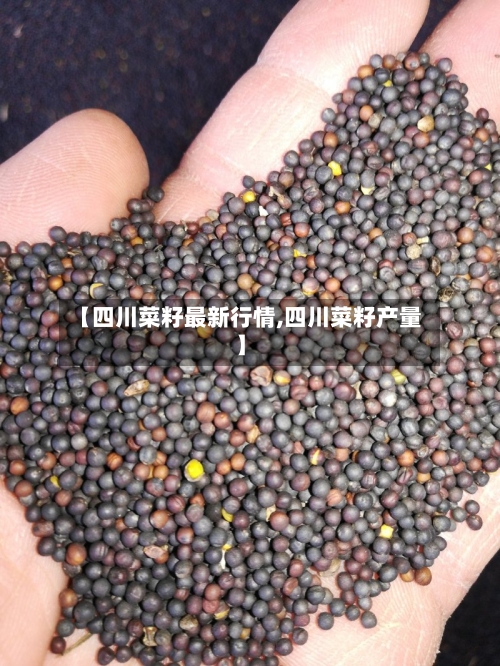 【四川菜籽最新行情,四川菜籽产量】-第2张图片