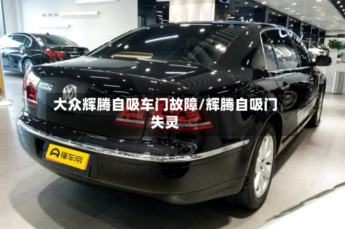 大众辉腾自吸车门故障/辉腾自吸门失灵-第2张图片