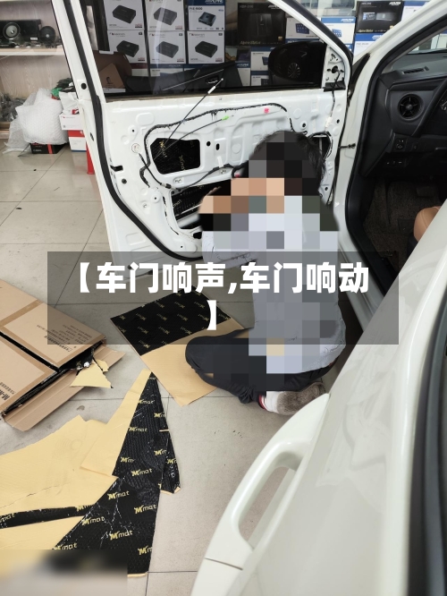 【车门响声,车门响动】-第2张图片