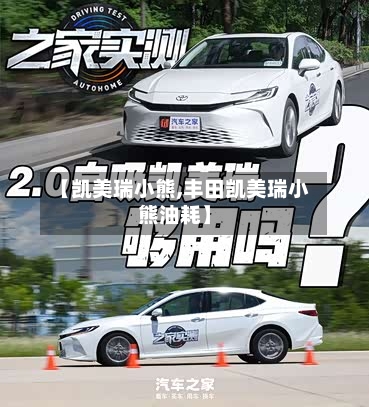 【凯美瑞小熊,丰田凯美瑞小熊油耗】-第1张图片