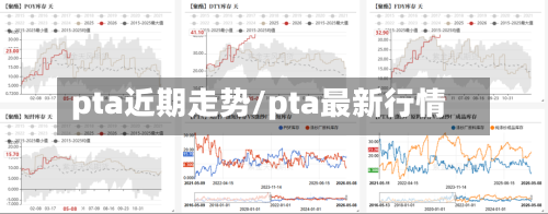 pta近期走势/pta最新行情-第1张图片
