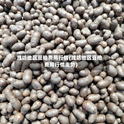 潍坊地区豆柏费用行情(潍坊地区豆柏费用行情走势)-第1张图片
