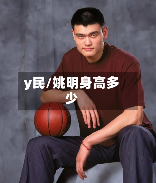 y民/姚明身高多少-第2张图片