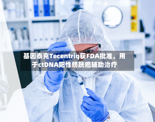 基因泰克Tecentriq获FDA批准，用于ctDNA阳性膀胱癌辅助治疗-第1张图片