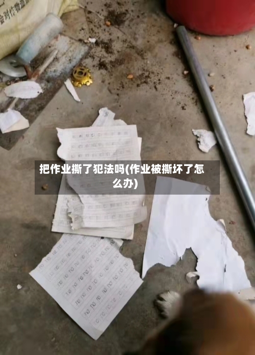 把作业撕了犯法吗(作业被撕坏了怎么办)-第1张图片