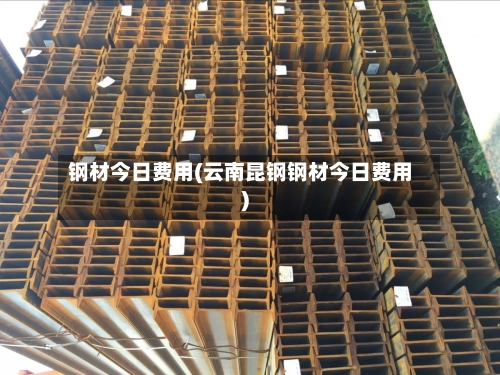 钢材今日费用(云南昆钢钢材今日费用)-第1张图片