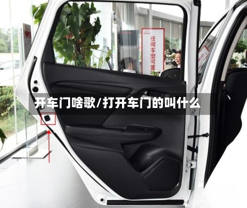 开车门啥歌/打开车门的叫什么-第1张图片