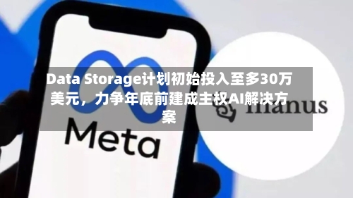Data Storage计划初始投入至多30万美元	，力争年底前建成主权AI解决方案-第3张图片