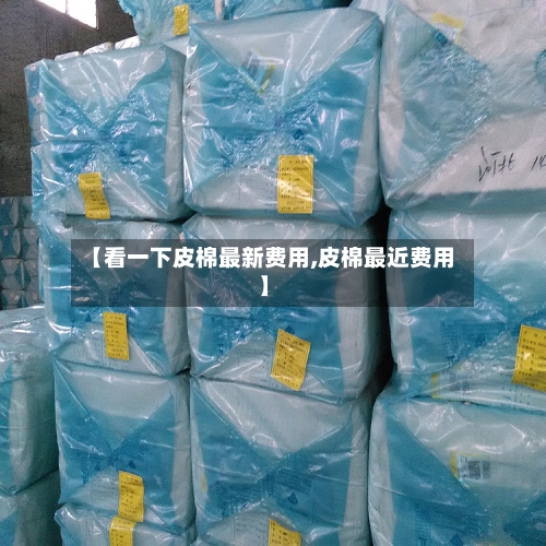 【看一下皮棉最新费用,皮棉最近费用】-第1张图片