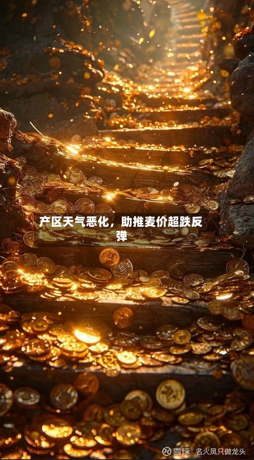 产区天气恶化	，助推麦价超跌反弹-第1张图片