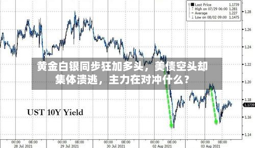 黄金白银同步狂加多头，美债空头却集体溃逃，主力在对冲什么？-第2张图片