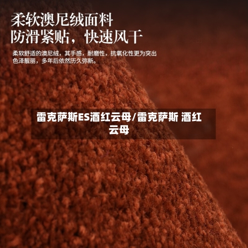 雷克萨斯ES酒红云母/雷克萨斯 酒红云母-第1张图片