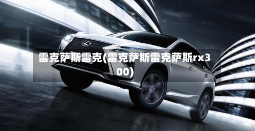 雷克萨斯雷克(雷克萨斯雷克萨斯rx300)-第2张图片