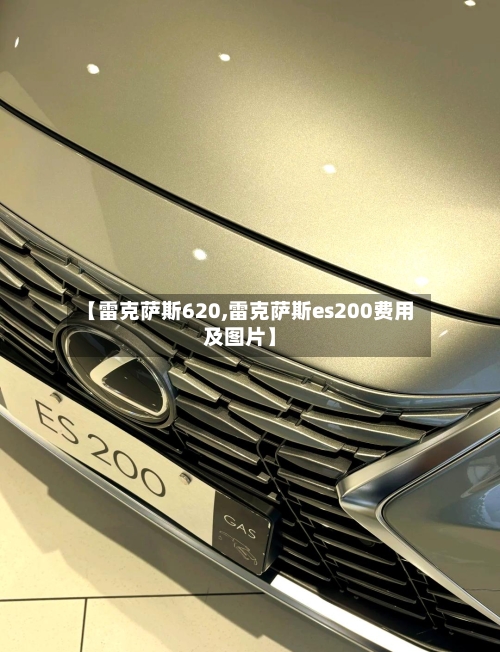 【雷克萨斯620,雷克萨斯es200费用及图片】-第1张图片