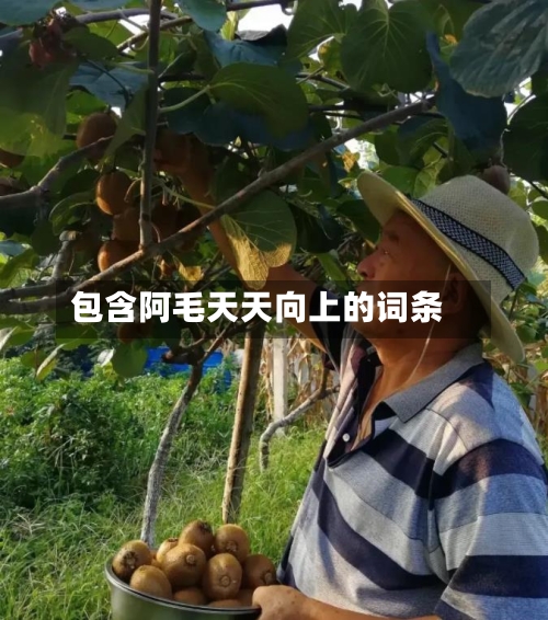 包含阿毛天天向上的词条-第1张图片