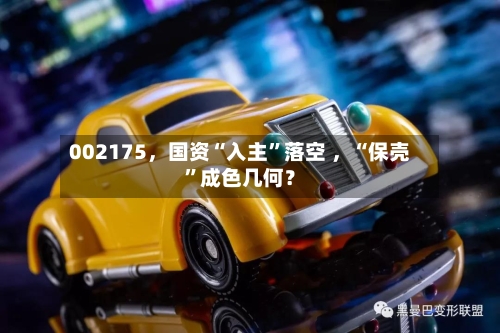 002175，国资“入主	”落空 ，“保壳”成色几何？-第3张图片