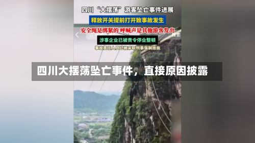 四川大摆荡坠亡事件	，直接原因披露-第2张图片