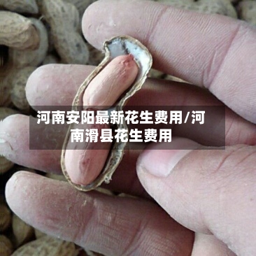 河南安阳最新花生费用/河南滑县花生费用-第2张图片