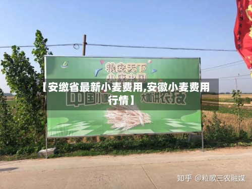【安缴省最新小麦费用,安徽小麦费用行情】-第1张图片
