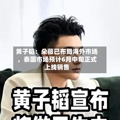 黄子韬：朵薇已布局海外市场，泰国市场预计6月中旬正式上线销售-第2张图片