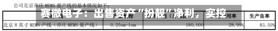 赛微电子：出售资产“扮靓	”净利	，实控人拟套现逾11亿元-第2张图片