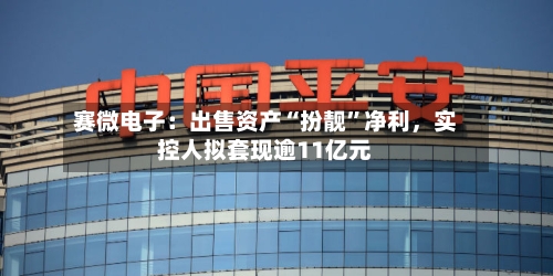 赛微电子：出售资产“扮靓”净利，实控人拟套现逾11亿元-第1张图片
