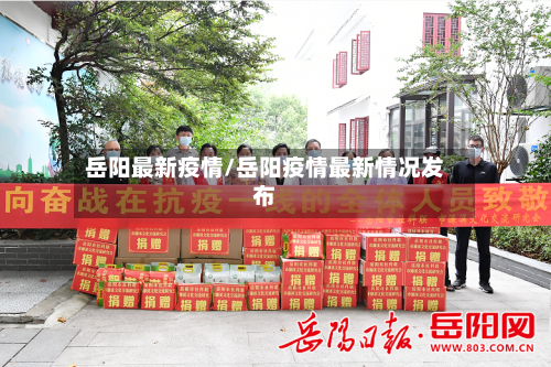 岳阳最新疫情/岳阳疫情最新情况发布-第3张图片