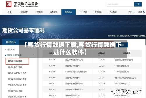 【期货行情数据下载,期货行情数据下载什么软件】-第1张图片