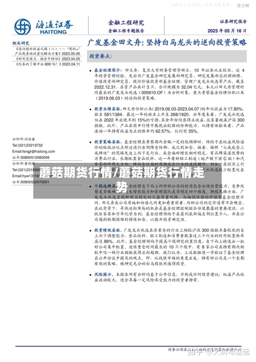 蘑菇期货行情/蘑菇期货行情走势-第1张图片