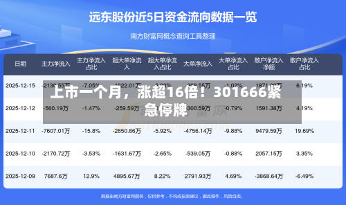 上市一个月，涨超16倍！301666紧急停牌-第2张图片