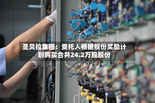 圣贝拉集团：受托人根据股份奖励计划购买合共24.2万股股份-第1张图片