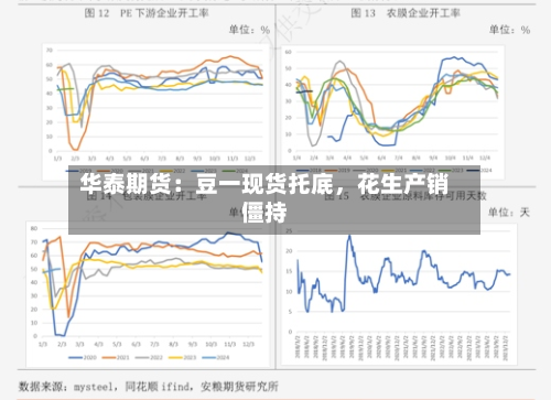华泰期货：豆一现货托底	，花生产销僵持-第1张图片