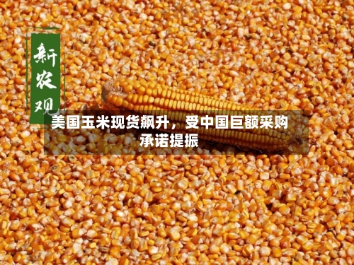 美国玉米现货飙升	，受中国巨额采购承诺提振-第2张图片