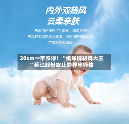 20cm一字跌停！“纸尿裤材料大王”延江股份终止跨界半导体-第2张图片