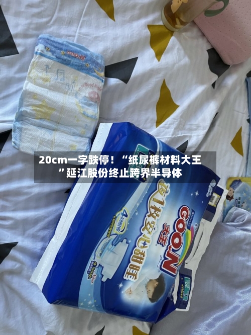 20cm一字跌停！“纸尿裤材料大王	”延江股份终止跨界半导体-第3张图片