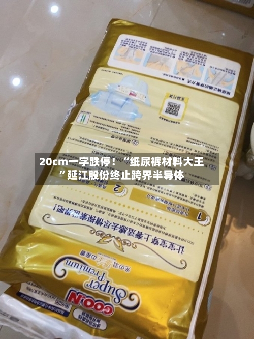 20cm一字跌停！“纸尿裤材料大王”延江股份终止跨界半导体-第1张图片