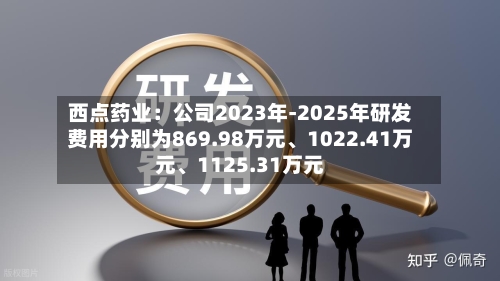 西点药业：公司2023年-2025年研发费用分别为869.98万元、1022.41万元、1125.31万元-第1张图片