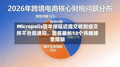 Micropolis因年报延迟提交收到纽交所不合规通知，面临最长12个月摘牌宽限期-第1张图片