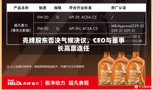 壳牌股东否决气候决议，CEO与董事长高票连任-第1张图片