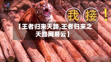 【王者归来天路,王者归来之天路网易云】-第1张图片