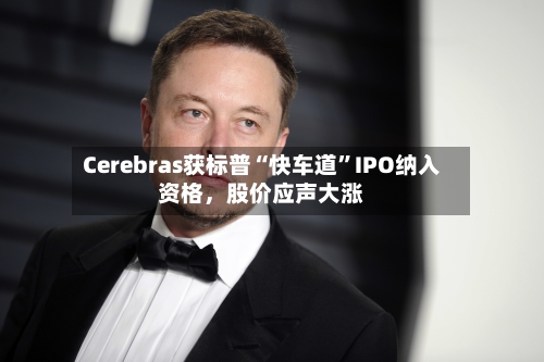 Cerebras获标普“快车道”IPO纳入资格，股价应声大涨-第3张图片