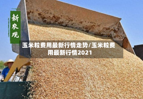 玉米粒费用最新行情走势/玉米粒费用最新行情2021-第1张图片