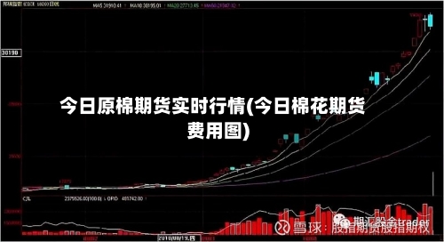 今日原棉期货实时行情(今日棉花期货费用图)-第3张图片