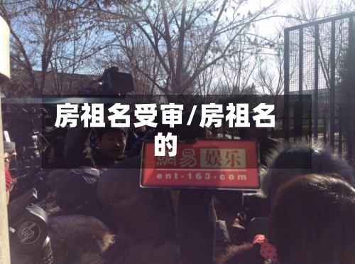 房祖名受审/房祖名的-第2张图片
