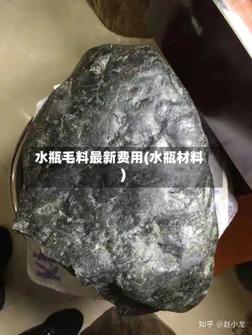 水瓶毛料最新费用(水瓶材料)-第2张图片